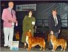 c. cherokee flash and c wind surfer bob bos roanoke 2003.jpg