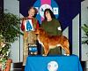 ch hr flash wcx cdx best bbe euk national trained to oaa level.jpg